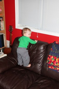 Literally a little monkey. See him holding with his toes?