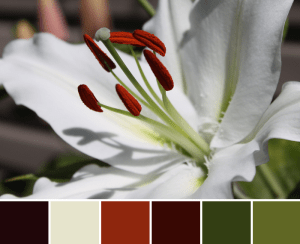 White Stargazer Palette 2