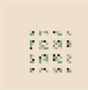 May 27 Succulent Garden